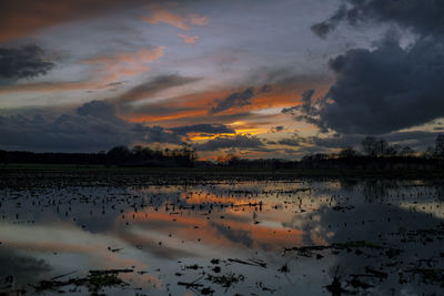 cloud - sky