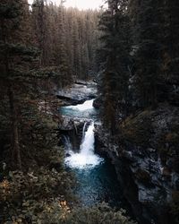 Stream flowing through rocks in forest