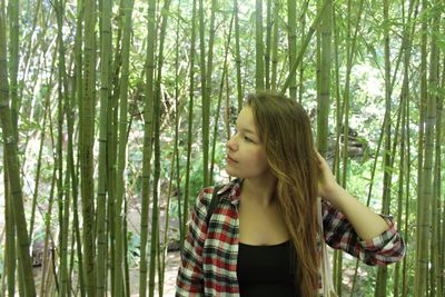 Young woman looking away while standing at bamboo grove