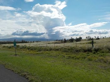 Scenic view of grassy field against sky