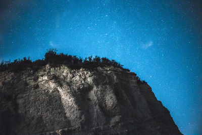 Low angle view of trees against star field