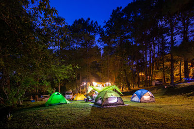 Tent on field against trees at night