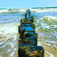 water, sea, wooden post, focus on foreground, pier, the way forward, moss, broken, tranquil scene, post, nature, footpath, plank, surface level, tranquility, shore, non-urban scene, scenics, sky, diminishing perspective, breakwater, day, wave, outdoors