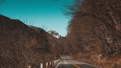 Road amidst trees against clear sky