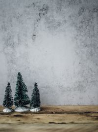 Christmas tree on snow covered land