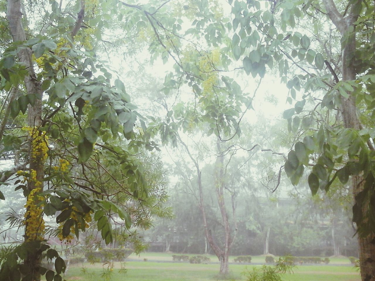 Ateneo de Naga University