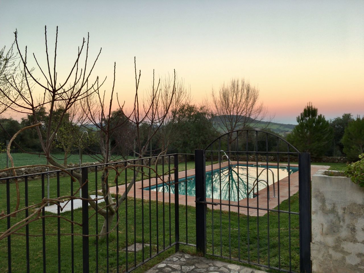 tree, railing, sky, no people, nature, outdoors, day, beauty in nature