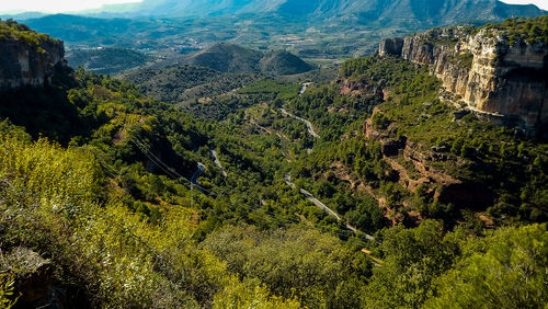 High angle view of trees on landscape