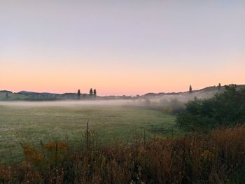 Scenic view of field against clear sky during sunset