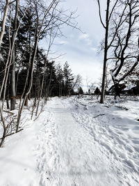 Bare trees on snow covered land against sky