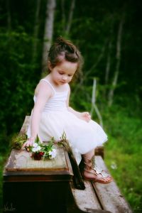 Full length of girl sitting on bench with flower