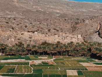 High angle view of agricultural field