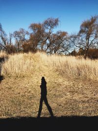 Shadow of person on field against sky