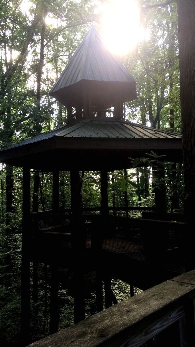 sunbeam, tree, gazebo, sunlight, railing, plant, day, back lit, nature, tranquility, tranquil scene, outdoors, growth, remote, scenics, green color, lens flare, solitude, non-urban scene, garden