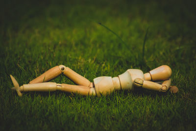 Close-up of shoes on field