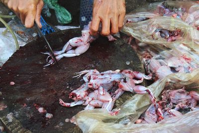 Cropped hand of woman preparing frogs for sale