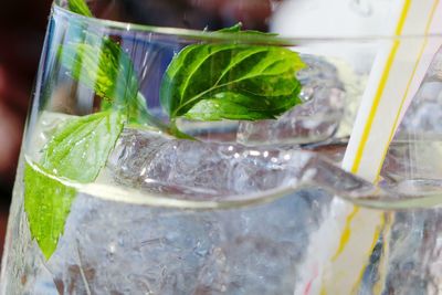 Close-up of beer in glass