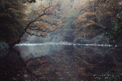 Reflection of sky in lake