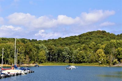 Scenic view of river by trees against sky