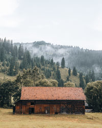 Cottage and pine trees in front of hill