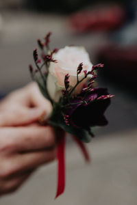 Close-up of hand holding red flower
