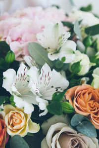 Close-up of flowers