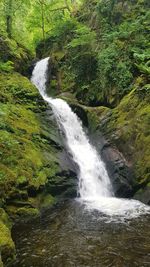 Scenic view of waterfall in forest