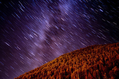 Low angle view of the starry sky and milky way