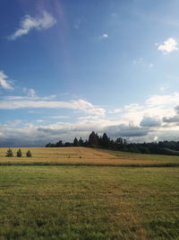 Scenic view of field against sky