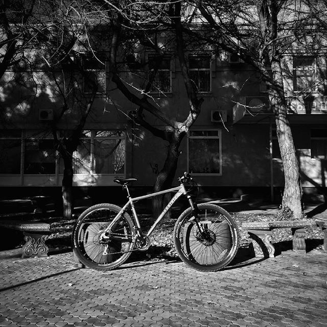 transportation, mode of transport, land vehicle, bicycle, stationary, parked, parking, tree, wheel, building exterior, abandoned, street, built structure, car, architecture, old, outdoors, day, house, travel