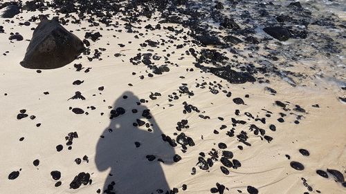 High angle view of footprints on sand