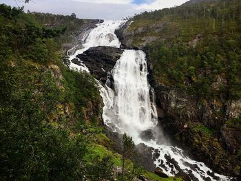 Scenic view of waterfall in forest