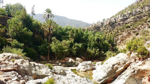 Scenic view of mountains against clear sky