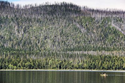 Scenic view of lake by mountain