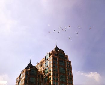 Low angle view of birds flying in building