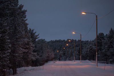 Road passing through illuminated park