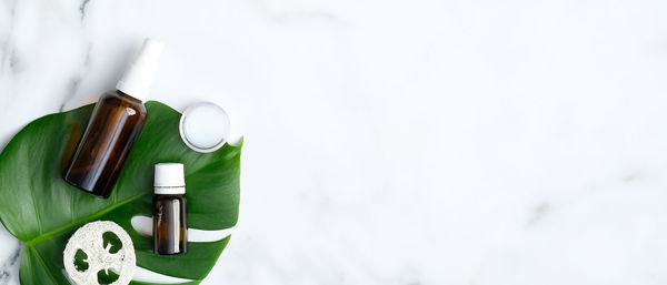 High angle view of leaf on snow