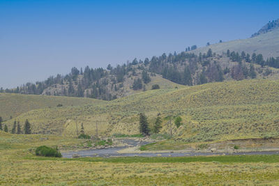 Scenic view of field against clear blue sky