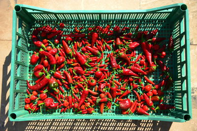 Chilli is the common name given to the berry obtained from some spicy varieties of the capsicum