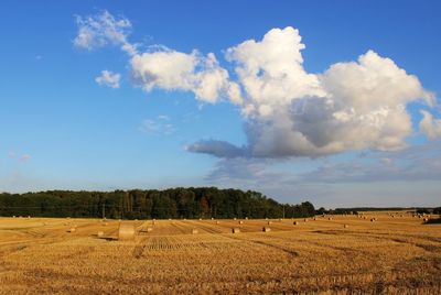 Scenic view of field against cloudy sky