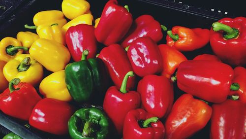 Close-up of tomatoes and vegetables at market stall