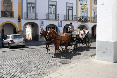 Horse cart on street