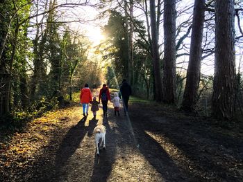 Rear view of family walking with dog on road in forest