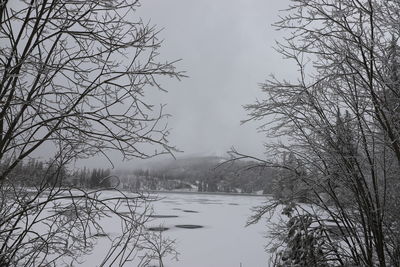 Bare tree on snow covered landscape