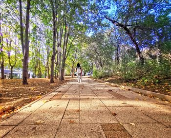 Rear view of people walking on footpath amidst trees