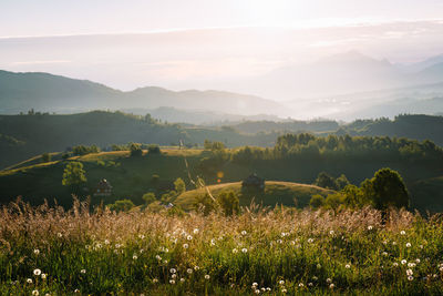 Scenic view of field and hills against mountains and sky in a summer morning