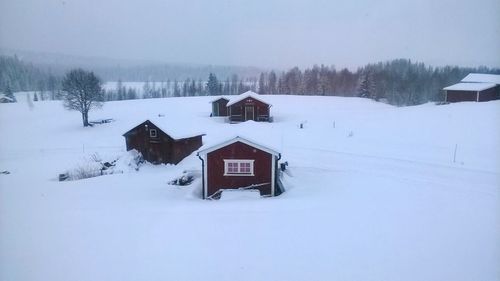 Snow covered trees on field