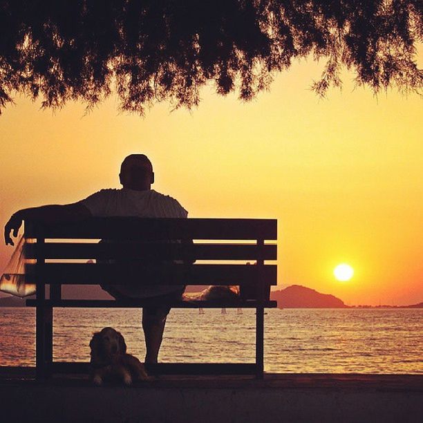 silhouette, sunset, sitting, orange color, lifestyles, railing, rear view, men, leisure activity, bench, standing, full length, sun, relaxation, sunlight, clear sky, person, nature