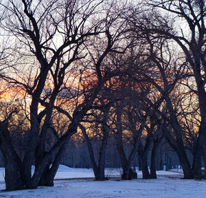 Snow covered landscape