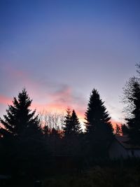 Silhouette of trees during sunset